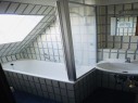 Entennest - Bild 6