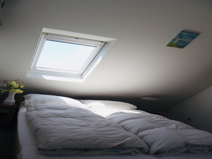 Entennest - Bild 7