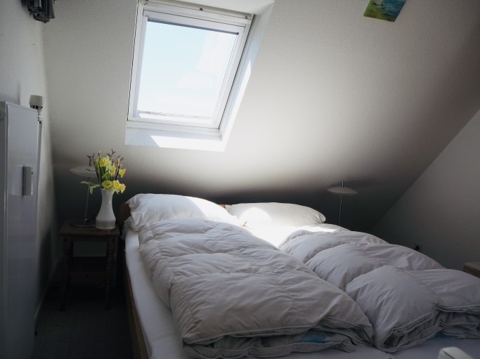 Entennest - Bild 8