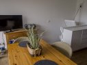 Syltzeit - Bild 3
