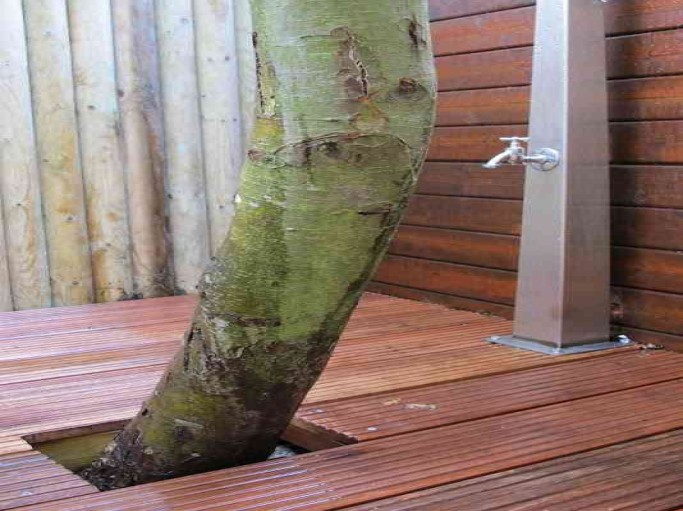 Ferienwohnung Nr. 4 unter Reet im Linderhof in Westerland auf Sylt - Bild 9