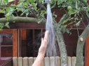 Ferienwohnung Nr. 5 unter Reet im Linderhof in Westerland auf Sylt - Bild 10