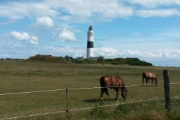 Ferienunterkünfte in Kampen buchen